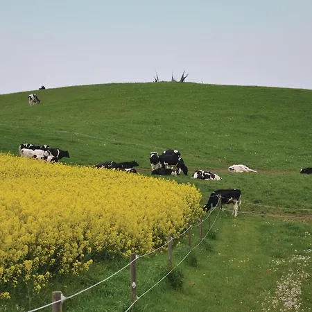 Three-bedroom In 度假居 *